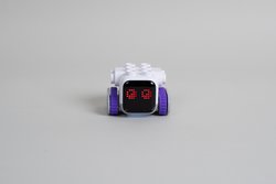 Der Lernroboter Botzee