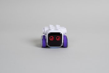 Der Lernroboter Botzee