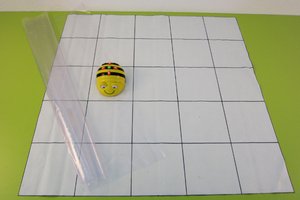 Bee-Bot mit Raster und Folie