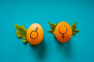 Zwei Eier mit aufgezeichneten Gender Symbolen 