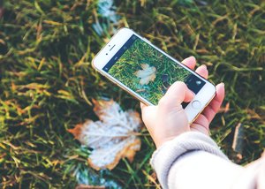 In Nahaufnahme ist eine Hand zu sehen, die ein Smartphone hält. Am Smartphone ist die Kamerafunktion geöffnet, mit dem Smartphone wird gerade ein herbstliches Blatt auf einer grünen Wiese fotografiert.